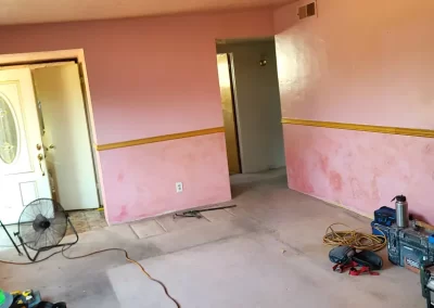 Professional Painter